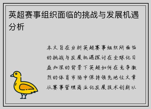 英超赛事组织面临的挑战与发展机遇分析 英超赛事组织面临的挑战与发展机遇分析